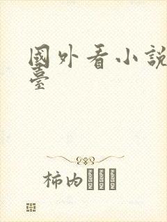 国外看小说的平台