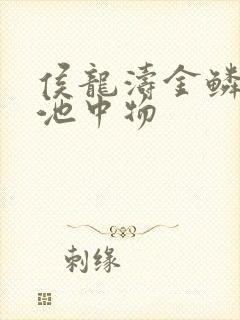 侯龙涛金鳞岂非池中物