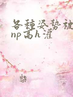 各种姿势被学长np高h灌