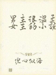 男主很温柔很爱女主的小说