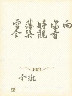 雪落时你向南飞全集观看