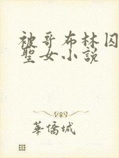 被哥布林囚禁的圣女小说