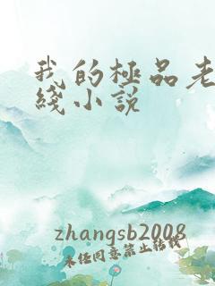 我的极品老婆在线小说