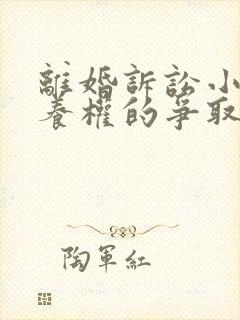 离婚诉讼小孩抚养权的争取