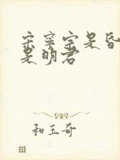 宋宁宗是昏君还是明君