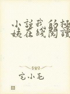 小说我的极品小姨在线阅读全文