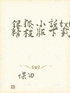 银狐小说txt精校版下载