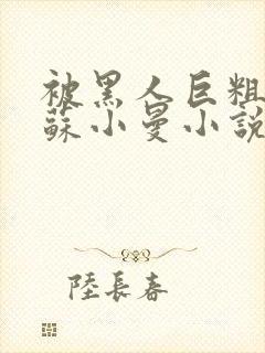 被黑人巨粗进入苏小曼小说