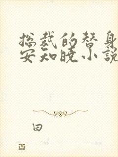 总裁的替身前妻安知晓小说