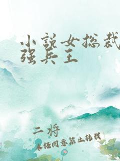 小说女总裁的最强兵王