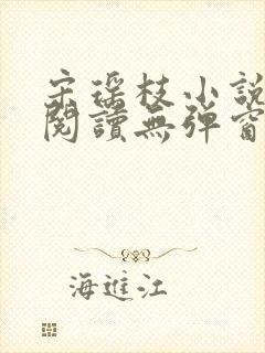 宋瑶枝小说免费阅读无弹窗最新章节