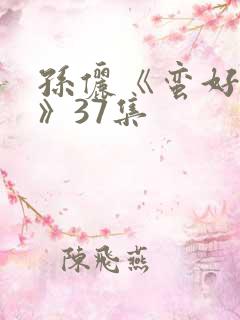 孙俪《蛮好人生》37集