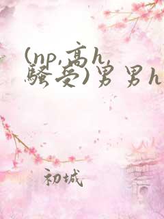(np,高h,骚受)男男h