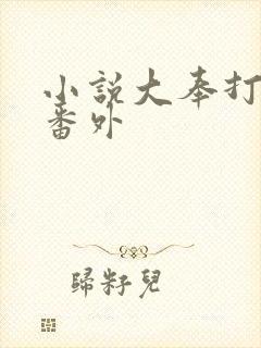 小说大奉打更人番外