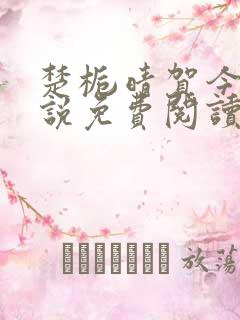 楚栀晴贺今朝小说免费阅读最新章节