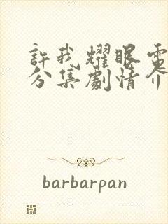 许我耀眼电视剧分集剧情介绍