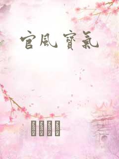 官风宝气