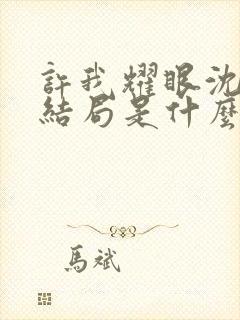 许我耀眼沈皓明结局是什么