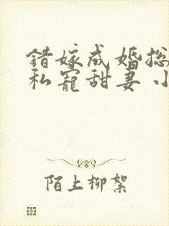 错嫁成婚总裁的私宠甜妻 小说