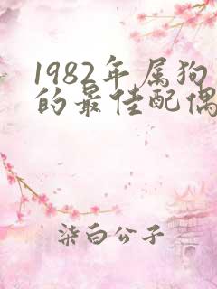 1982年属狗的最佳配偶属相