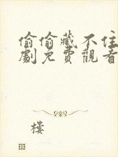 偷偷藏不住电视剧免费观看2022