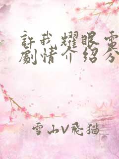 许我耀眼电视剧剧情介绍分集电视猫