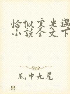 恰似寒光遇骄阳小说全文下载