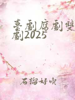 台剧腐剧双男主剧2025