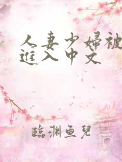 人妻少妇被猛烈进入中文