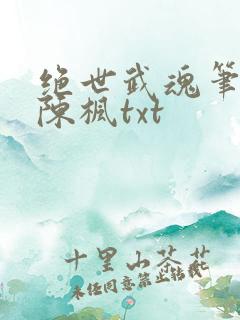 绝世武魂笔趣阁陈枫txt