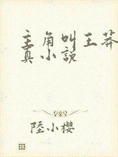 主角叫王莽的修真小说