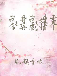 我哥我嫂电视剧分集剧情介绍