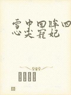 雪中回眸四爷的心尖宠妃