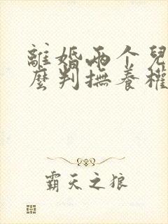 离婚两个儿子怎么判抚养权