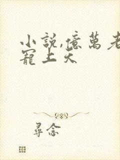 小说,亿万老公宠上天