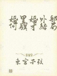 婚里婚外那些事何骥才结局