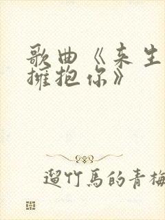 歌曲《来生再去拥抱你》