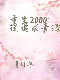 重生2000:从追求青涩校花同桌开始txt