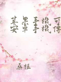 苹果手机可以给安卓手机传数据吗