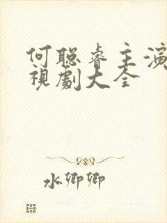 何聪睿主演的电视剧大全