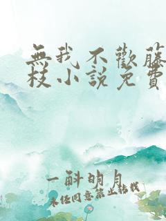 无我不欢藤萝为枝小说免费阅读