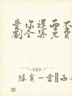 爱你迟而不晚短剧全集免费版