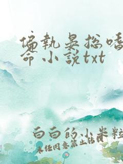 偏执晏总嗜她如命小说txt