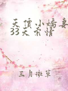 天价小娇妻总裁33天索情