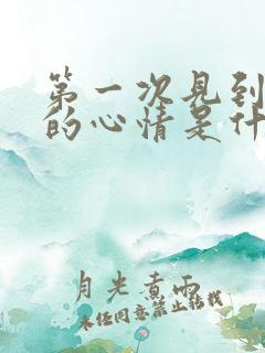 第一次见到你我的心情是什么歌