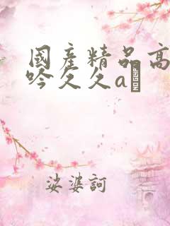 国产精品高潮呻吟久久aγ