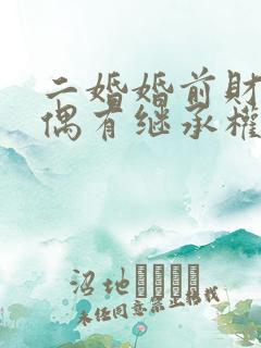 二婚婚前财产配偶有继承权吗