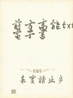 前方高能txt电子书