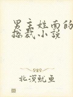 男主姓南的霸道总裁小说