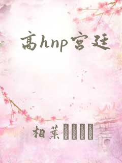 高hnp宫廷
